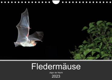 Fledermauskalender für 2023